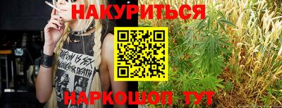 молекула духа Шебекино
